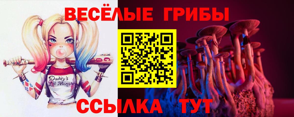Галлюциногенные грибы Magic Shrooms  Псилоцибиновые грибы мицелий  Вход с VPN  Горно-Алтайск 